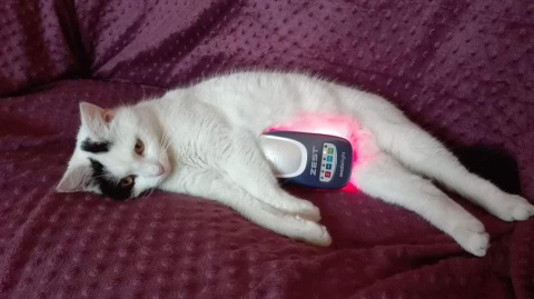 Zepter Medolight Z4L - Aparat medyczny + Prezent Zepter Medolight Z4L - Aparat medyczny + Prezent